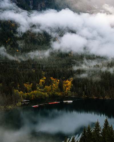 diablo lake aerial photography of lake surrounded with trees during daytime conifer